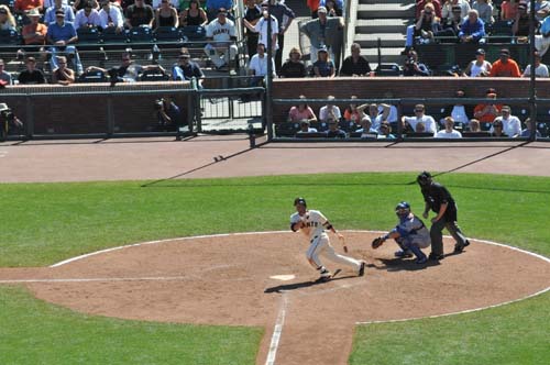 2009-08-12 15-45-48_ISO 800_f-9_1-1000 s_300 mm