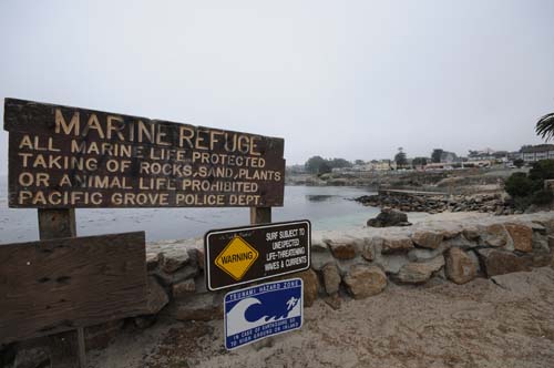 2008-09-28 11-02-04_ISO 400_f-9_1-320 s_10 mm