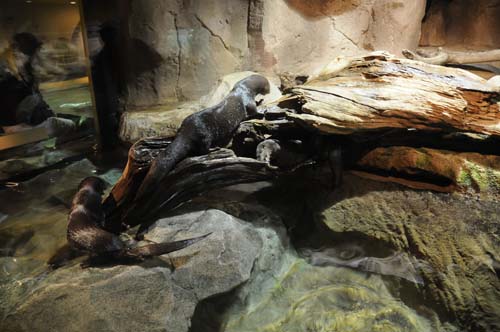 2008-09-28 15-18-42_ISO 800_f-3.5_1-15 s_18 mm