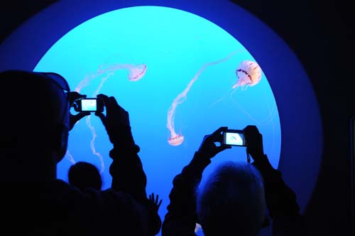 2008-09-28 15-30-27_ISO 1600_f-3.5_1-15 s_18 mm