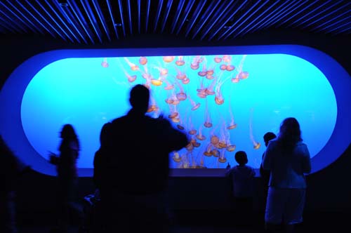 2008-09-28 15-36-53_ISO 1600_f-3.8_1-13 s_24 mm