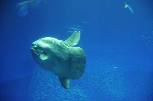 2008-09-28 15-41-50_ISO 1600_f-3.5_1-10 s_18 mm