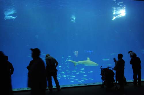 2008-09-28 15-45-48_ISO 1600_f-3.8_1-10 s_24 mm