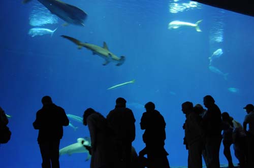 2008-09-28 15-48-14_ISO 1600_f-4.2_1-8 s_32 mm