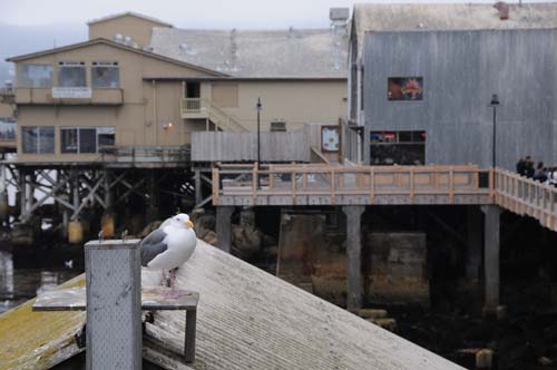 2008-09-28 16-02-53_ISO 400_f-8_1-250 s_82 mm