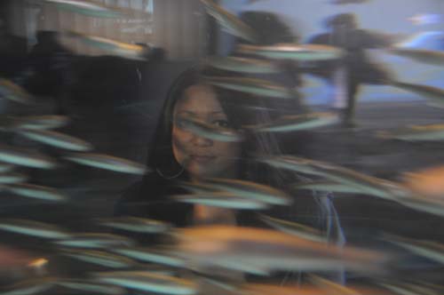 2008-09-28 16-15-58_ISO 400_f-4.5_1-6 s_46 mm