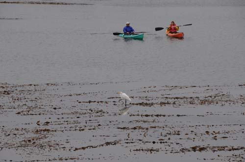 2008-09-28 16-28-48_ISO 400_f-10_1-400 s_200 mm