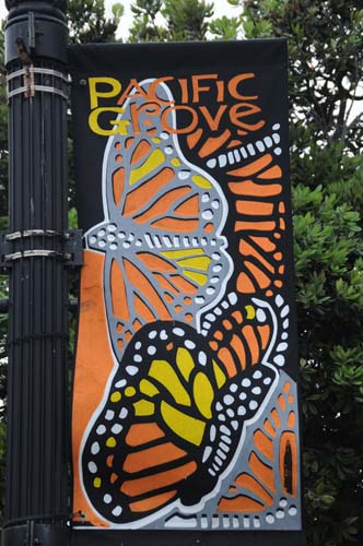 2008-09-29 10-03-09_ISO 400_f-7.1_1-200 s_95 mm