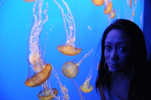 2008-09-29 11-07-43_ISO 1600_f-3.5_1-13 s_18 mm (2)