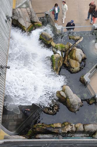 2008-09-29 11-18-36_ISO 400_f-7.1_1-200 s_24 mm