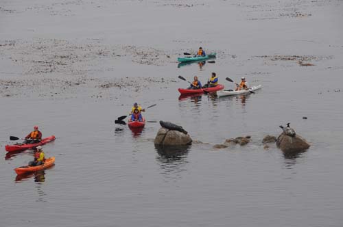 2008-09-29 11-24-52_ISO 400_f-10_1-400 s_150 mm