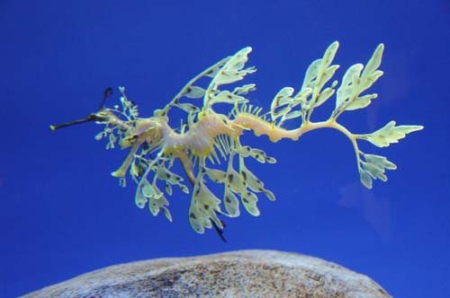 2008-09-29 11-33-16_ISO 3200_f-4.2_1-30 s_38 mm