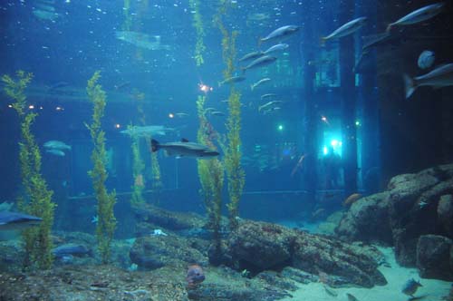 2008-09-29 12-10-11_ISO 3200_f-3.5_1-15 s_18 mm