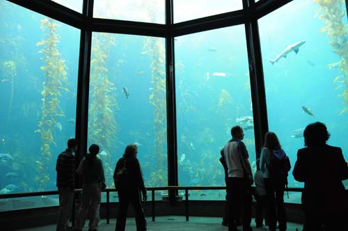 2008-09-29 12-23-54_ISO 1600_f-4_1-60 s_18 mm