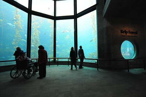 2008-09-29 12-26-58_ISO 1600_f-4_1-30 s_10 mm