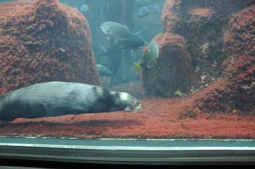 2008-09-29 12-34-08_ISO 1600_f-4.5_1-80 s_18 mm