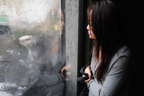 2008-09-29 12-47-20_ISO 800_f-5.6_1-125 s_24 mm