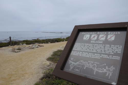 2008-09-29 13-31-36_ISO 400_f-11_1-500 s_18 mm