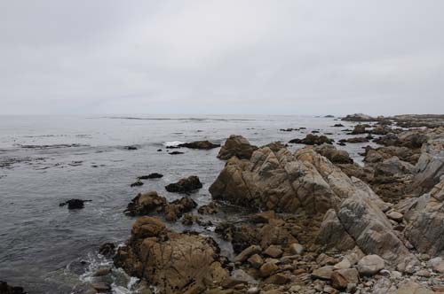 2008-09-29 13-39-56_ISO 400_f-10_1-400 s_18 mm