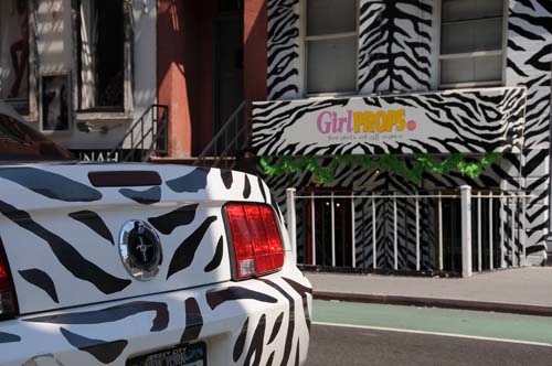 2008-08-18 08-40-44_ISO 200_f-9_1-320 s_48 mm